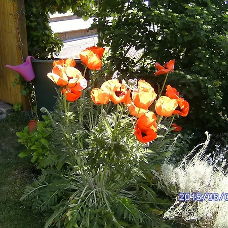 度假居 Ferienbungalow Mit Seeblick *